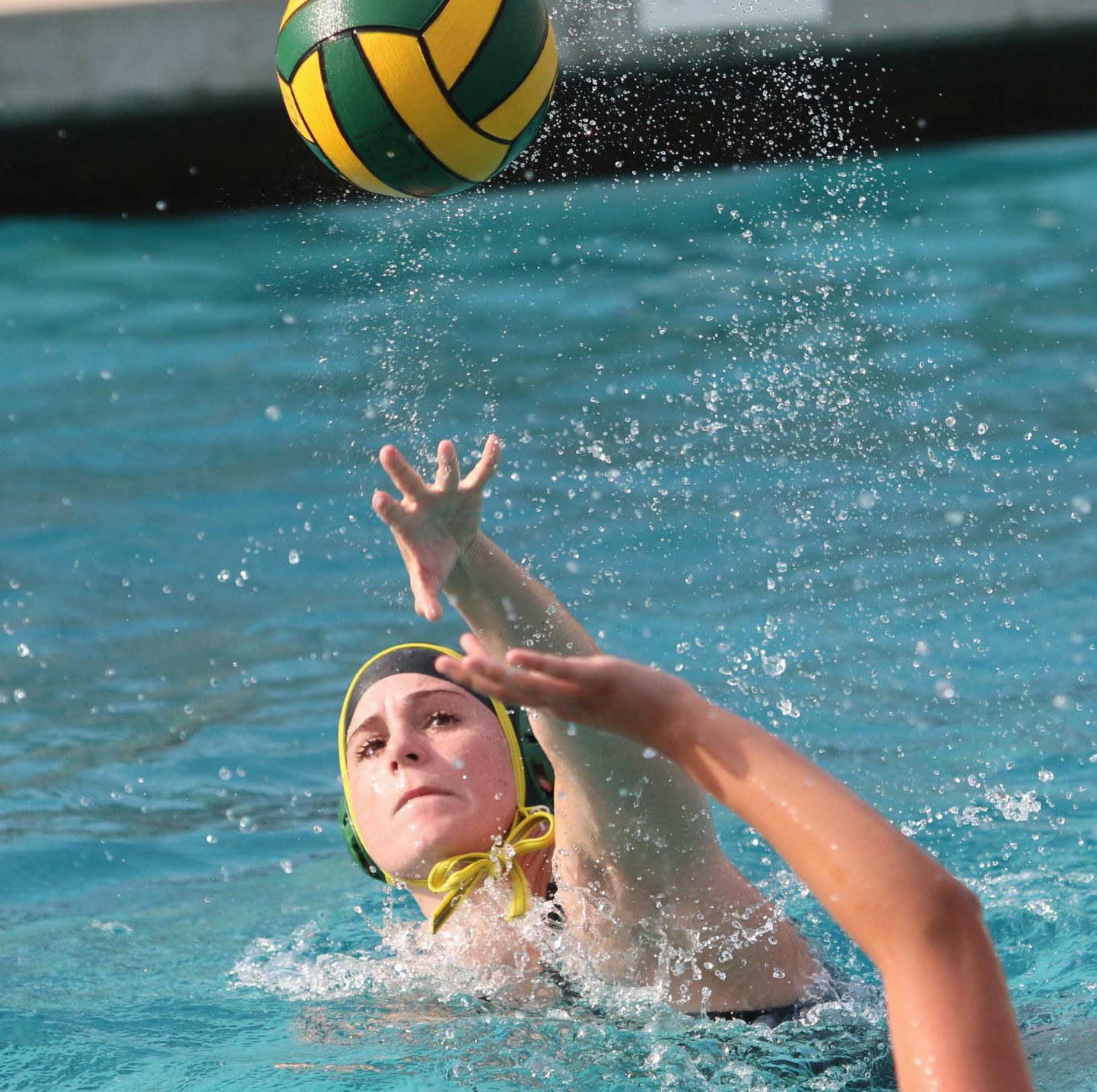 Golden Bears stay focused, lean on stout defense